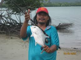 Ikan bilis (gorengkan) bahan a 10 biji cili padi 4 biji bawang merah 3 ulas bawang putih bahan. 1 Kota Belud Hijau S Blog