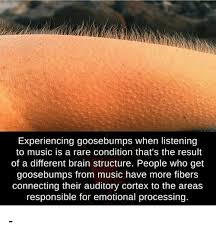 Goosebumps | dank meme compilation vol 8. Experiencing Goosebumps When Listening To Music Is A Rare Condition That S The Result Of A Different Brain Structure People Who Get Goosebumps From Music Have More Fibers Connecting Their Auditory Cortex To