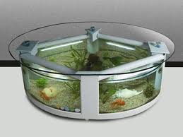 Half circle table / desk. Creative Coffee Table Aquarium Fish Tank Coffee Table Aquarium Coffee Table Amazing Aquariums