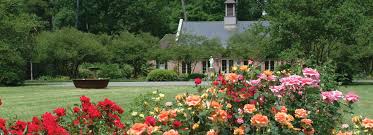Happy boho young woman among flowers with retro camera. Facility Rental