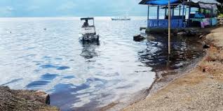 Sebenarnya ada strategi mudah yang dapat anda lakukan di rumah. Gambar Danau Singkarak