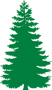 Free Image On Pixabay Fir Evergreen Trees Silhouette Silhouette Clip Art Tree Stencil Free Clip Art
