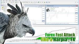 Download The Harpia Fx Lite For Mt5 Trading Robot Expert