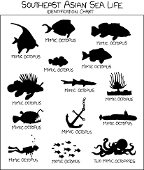 southeast asian sea life identification chart reef