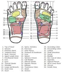 sujok acupressure points chart acupressure point chart for