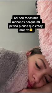 Avicultura en Guatemala: Pollos Cobb 500 en Crecimiento