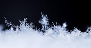 Fill in the blanks with another, (the) other (s), each other, every other. No Two Cancers Are The Same