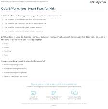 Displaying 22 questions associated with risk. Quiz Worksheet Heart Facts For Kids Study Com