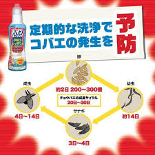 チョウバエ 駆除 パイプユニッシュ