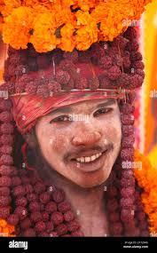 Il fiore di stato dell'india immagini e fotografie stock ad alta  risoluzione