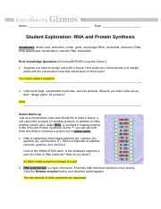 Cyclohexamine inhibits peptidal transferase activity in eukaryotes while chlorophenicol inhibits. Rna Protein Synthesis Gizmo Docx Name Date Student Exploration Rna And Protein Synthesis Vocabulary Amino Acid Anticodon Codon Messenger Rna Course Hero