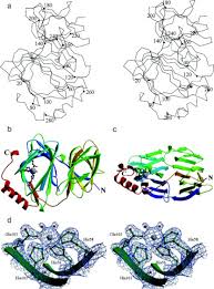 1 watcher415 page views2 deviations. Crystal Structure Of Human Pirin An Iron Binding Nuclear Protein And Transcription Cofactor Sciencedirect