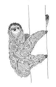 Sloth Mandala Diego Ayerbe Art Therapy Coloring Book Sloth Art Sloth Drawing