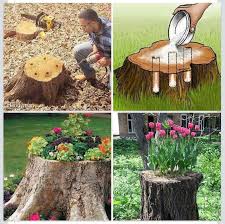 Turn A Old Tree Stump Into A Awesome Flower Pot Garden Yard Ideas Garden Projects Tree Stump Decor