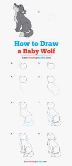How do you draw a baby wolf? How To Draw Baby Wolf Baby Wolf Drawing Easy Step By Step Hd Png Download Kindpng