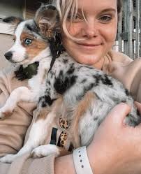 Lost & Found Pets of Springfield, MO