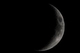 Pourquoi et comment jardiner avec la lune ? Que Faire Au Jardin Lorsque Que La Lune Est Croissante