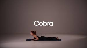 How To Do Cobra Pose Yoga Cobra Pose Yoga Cobra Pose Yoga Videos