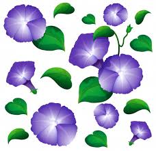 Free Vector Seamless Background With Morning Glory Flowers