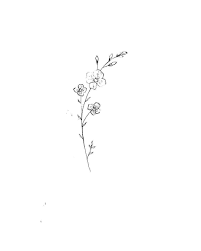 Wild Flower 4 Wildflowers Wild Flower 4 Wildflower Tattoo Tattoos Flower Tattoos