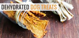 Our diabetic dog is enthusiastic about getting his insulin shots because he knows he gets one of these treats immediately after! Top 10 Best Diabetic Dog Food Brands Diet Tips Faq S Recipes