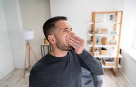 Muffiger geruch im haus hallo lotte, wie ist das denn in einer waschküche wo wäsche hängt? Muffiger Geruch Im Haus Tipps Tricks Vitalhelden De