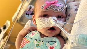 Fundraiser by Megan Lyon : Eleanor's Fight: Heart Transplant Needed