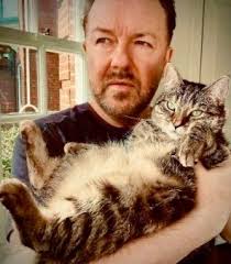 Looking for person named in Valencia