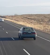 Image result for Oxford White 1993 Tracer