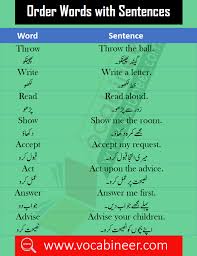 Urdu Words Meaning And Sentences 1000 English Urdu Words Word Sentences Words Sentences