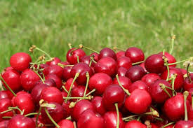 Temperatura, opady, wiatr i jakość powietrza dla poznań. Poznan Pogoda Na Weekend Piatek 25 06 Sobota 26 06 Niedziela 27 06 Dlugoterminowa Prognoza Pogody Poznan Nasze Miasto