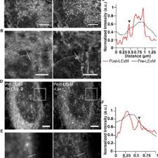 Kane Wu's research works