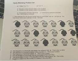 What is the frequency of heterozygotes aa in a randomly mating population in which the frequency of all dominant phenotypes is 0.19? Solved Hardy Weinberg Problem Set P 2pq Q 1 P 9 Chegg Com