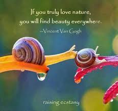 Pin By Jaime Sullly On Me Van Gogh Nature Quotes Vincent Van Gogh