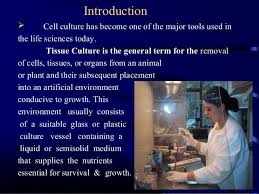 We did not find results for: Marcelino Fischels Equipment Used In Animal Cell Culture Slideshare Cell Culture And Its Types Finally Root Tips Are The Type Of Tissue Used In Root Culture
