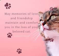 Closed pet loss poems ! 90 Sympathy Quotes For Loss Of Pet And Pet Loss Messages