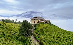 A biodata is enclosed to help the applicant draw attention to the essential elements of a job application may brighten up the chances of being selected. Indian Tea Culture Wikipedia