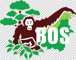 728+ kostenlose orang utan png bilder. Borneo Orangutan Survival Bornean Orangutan Chimpanzee Samboja Lestari Orang Utan Mammal Leaf Logo Png Klipartz