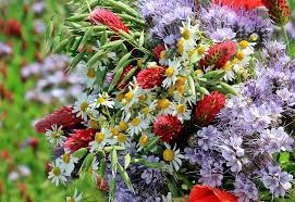 Incluya su empresa para mejorar su posicionamiento web en buscadores. Floristerias En Jaen Enviar Flores A Jaen Gratis