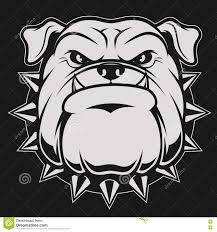 Black And White Bulldog Cartoon Photo About Vector Illustration Head Ferocious Bulldog Mascot On A Black Background Illustration Of Character Drawin Bulldog Drawing Bulldog Art Dog Drawing