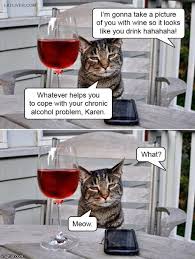 Her character, karen, is fabulous, so it was fun to share a meme. Karen Cat Meme