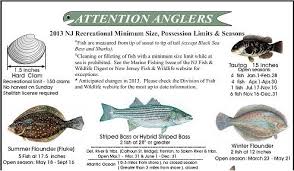 2013 Nj Saltwater Fishing Regulations Nj Saltwater