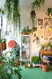 Urban Jungle Plantas Domesticas Interiores