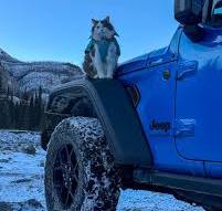 Not only does Gary's Jeep from the @albertajeepdealers open ...