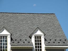 The best of the best, an ideal choice for homes with great steep sloped roofs. 32 Roof Final Ideas House Styles House Exterior Exterior Design