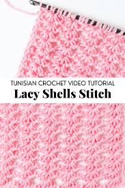 I am not familiar with the crochet stitch abbreviation sn. Tl Yarn Crafts How To Crochet The Tunisian Crochet Lacy Shells Stitch Video Tutorial Tl Yarn Crafts