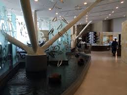 However unlike klia golden lounge, there were sufficient tissue paper. Review Malaysia Airlines Golden Lounge Klia Regional Travel Codex