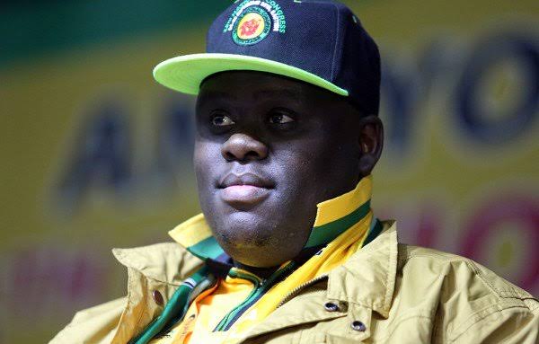 Home Affairs' Njabulo Nzuza to visit Lebombo border | The Citizen