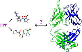 In silico methods, therefore, refer to methods or prediction using computational approaches. Elucidation Of The Role Of In Silico Methodologies In Approaches To Studying Bioactive Peptides Derived From Foods Journal Of Functional Foods X Mol