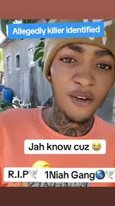 Tribute Song for Niah: A Heartfelt Message of Loss